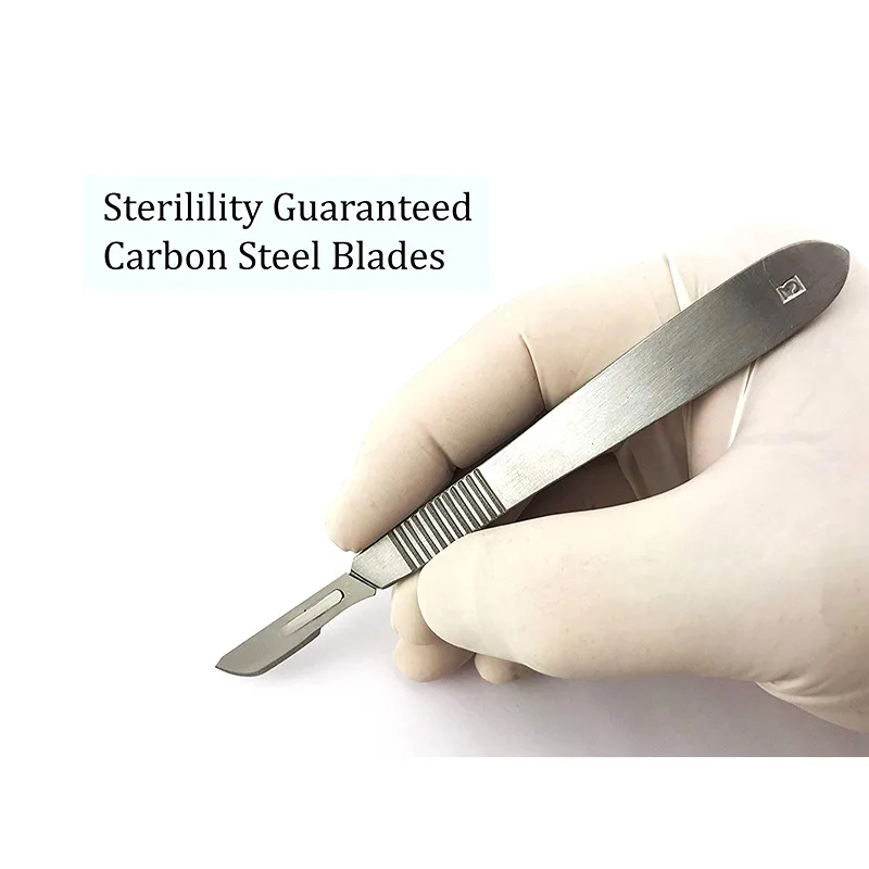 22Pcs Dissection Kit Stainless Steel Anatomy Tool Set with Scalpel Scissors Tweezers Probe for Lab Dental Surgery