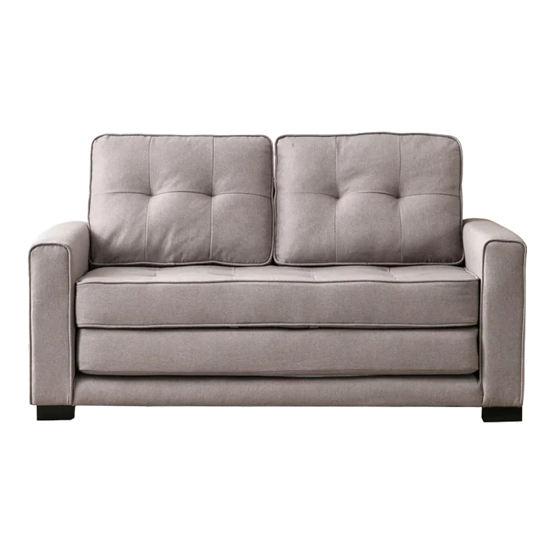 

Willai American simple fabric small apartment living room sofa bed dual-purpose retractable folding tatami