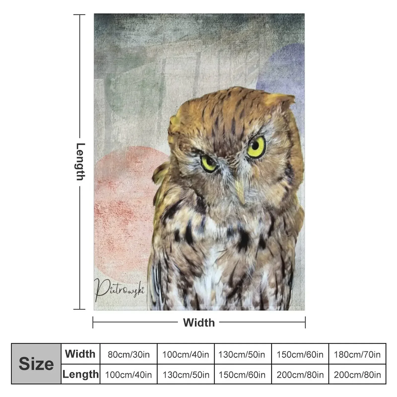 Cute Rustic Screech Owl Fence Modern Cottage Chic Country Art A653 Throw Blanket Sofas For Baby Thins Blankets