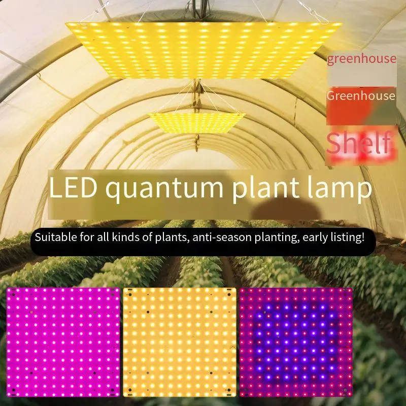 

Светодиодный светильник полного спектра для выращивания растений, квантовая доска, УФ-лампа для комнатных цветов, рассады, гидропонная теплица, выращивание овощей