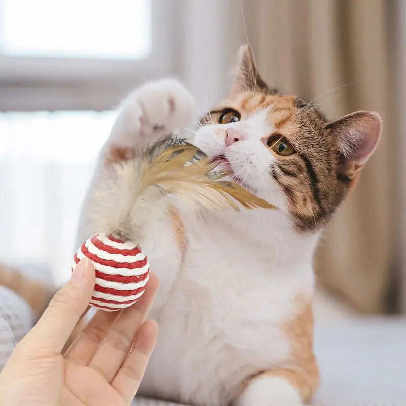 Juguetes de plumas y sisal interactivos para gatos – Sin aburrimiento - imagen 5