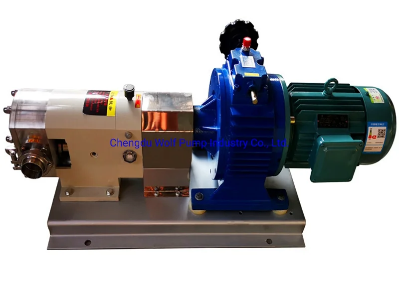 

Stainless Steel Rotor Pump