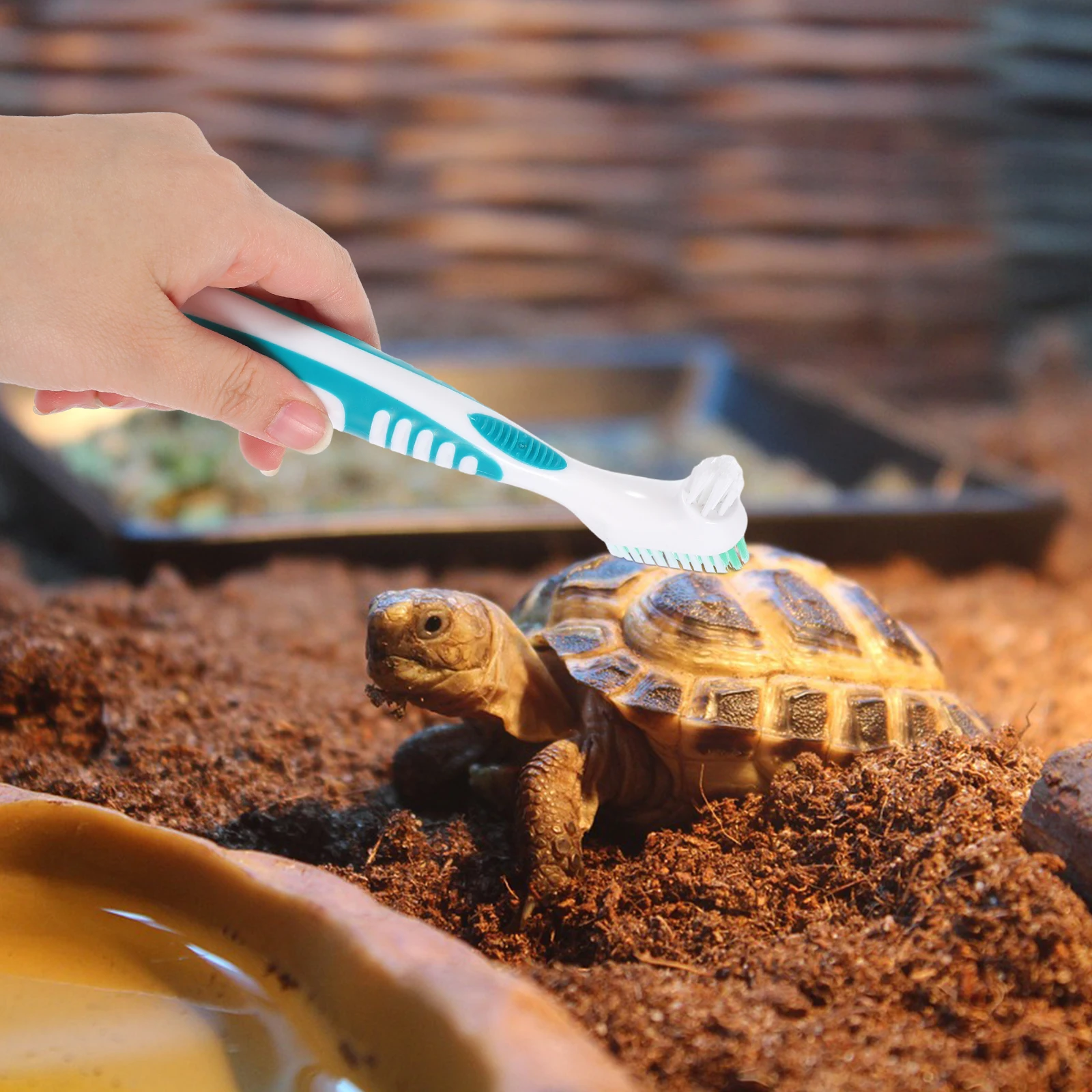 

2Pcs Multi-Functional Turtle Shell Cleaning Brush Double-Side Small Scrub Tool for Aquatic Reptile Care Lightweight Easy Grip