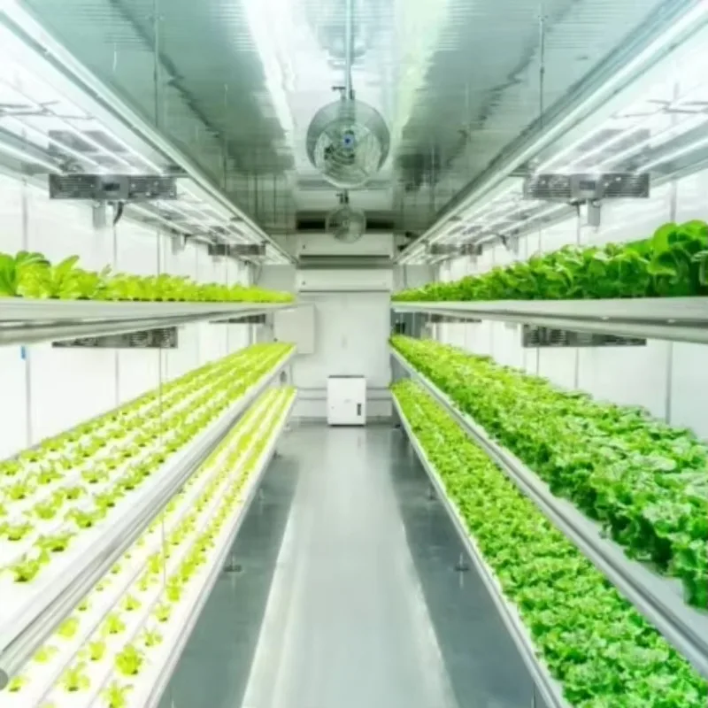 مصنع نباتات الخضروات، حاويات شحن الزراعة المائية، حاويات المائية، الدفيئة للمزارع