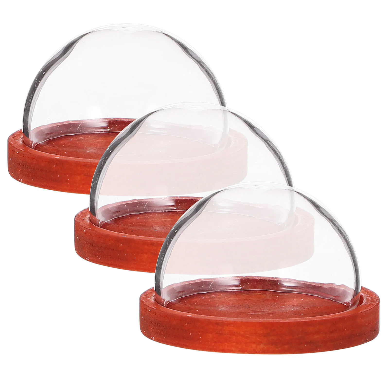 

3Pcs Eternal Flower Glass Dome Flat Wood Base Mini Glass Display Dome Living Room Table Decor Preserved Floral Display Case