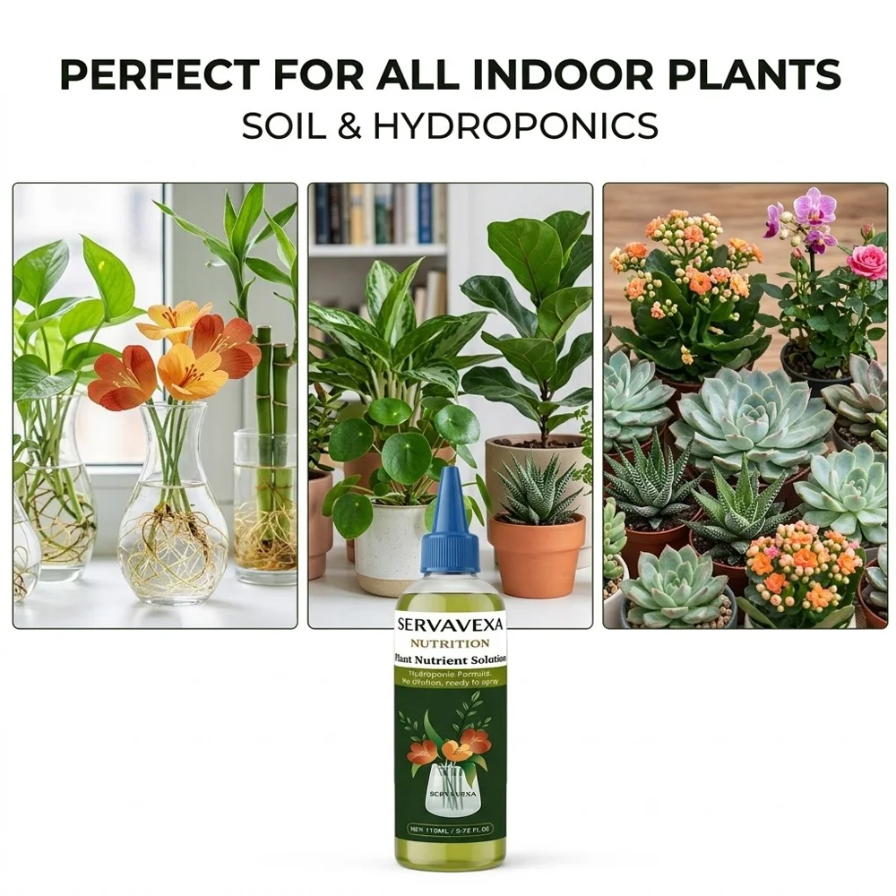 110ml Pflanzennährlösung Schnellwirkender Wurzelstimulator Flüssigdünger für Hydrokultur Blumen Indoor-Garten Wachstumsförderer SERLAVEXA – Detail 5