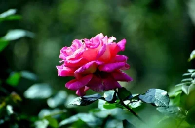 

1/10 RC Crawler CNC Aluminum Alloy 2.2" Beadlock Wheels Rim for TRX4 D90 Axial SCX10 Wraith Capra