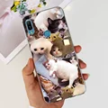 case-c33