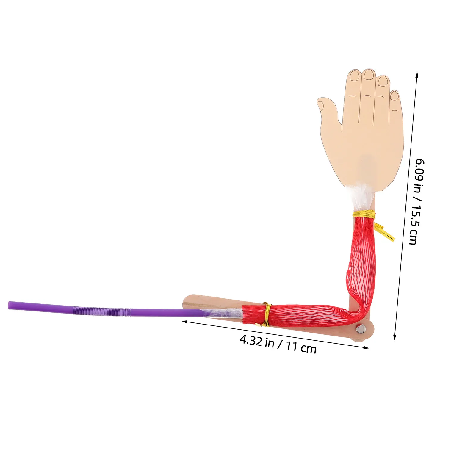 4Pcs Creative Human Anatomy Set DIY Science Kits Realistic Muscle Display Educational Body Parts Learning Tools for School Home