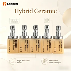 LODDEN Dental Monolayer Hybrid Ceramic Composite Resin for Minimally Invasive Restoration Resin-Based Dental Lab Material