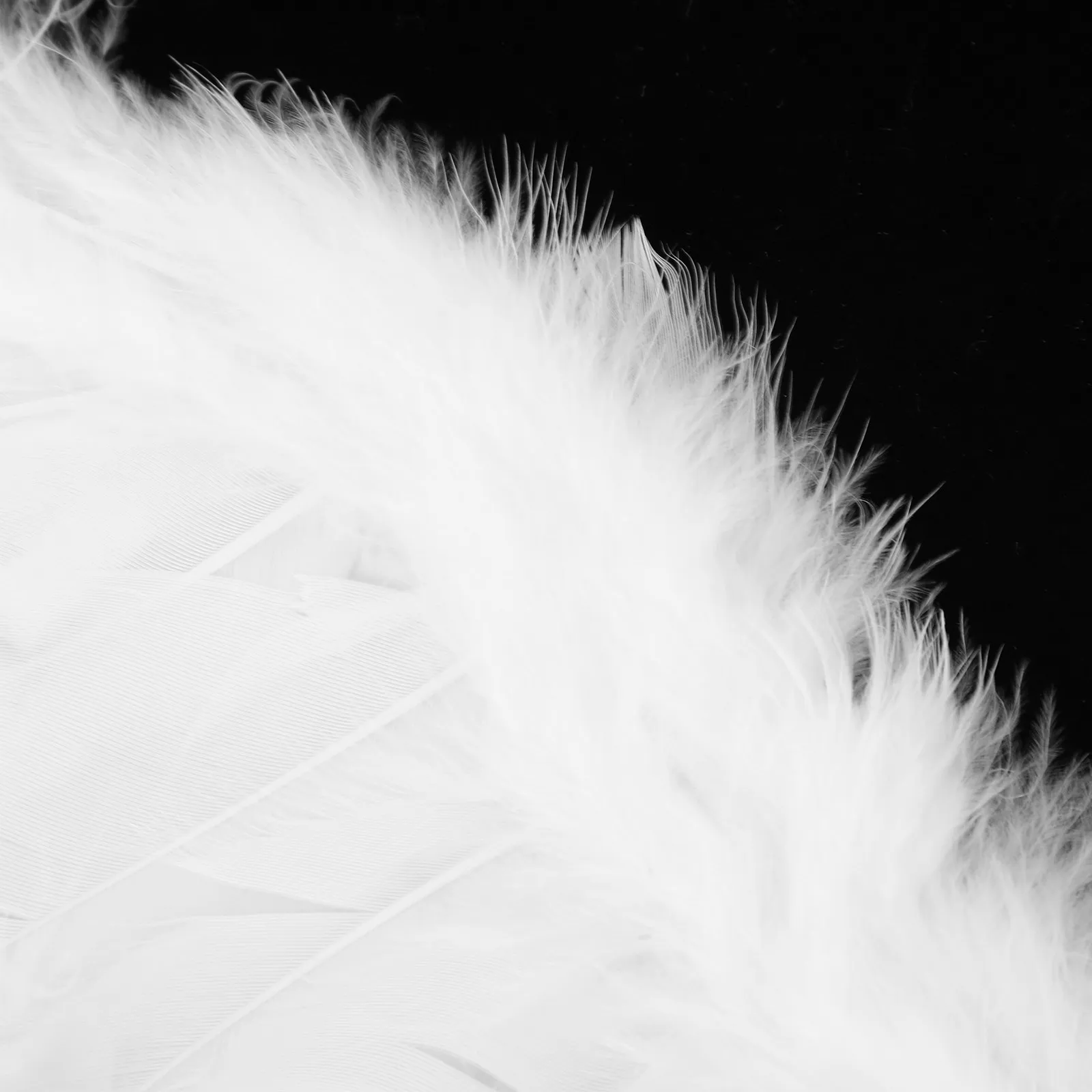 1 set 1 Set Angel Wing For Girls Kids Fairy Wing Prop Costume Accessories Lovely Headband Wand Party Supplies Cosplay Decor