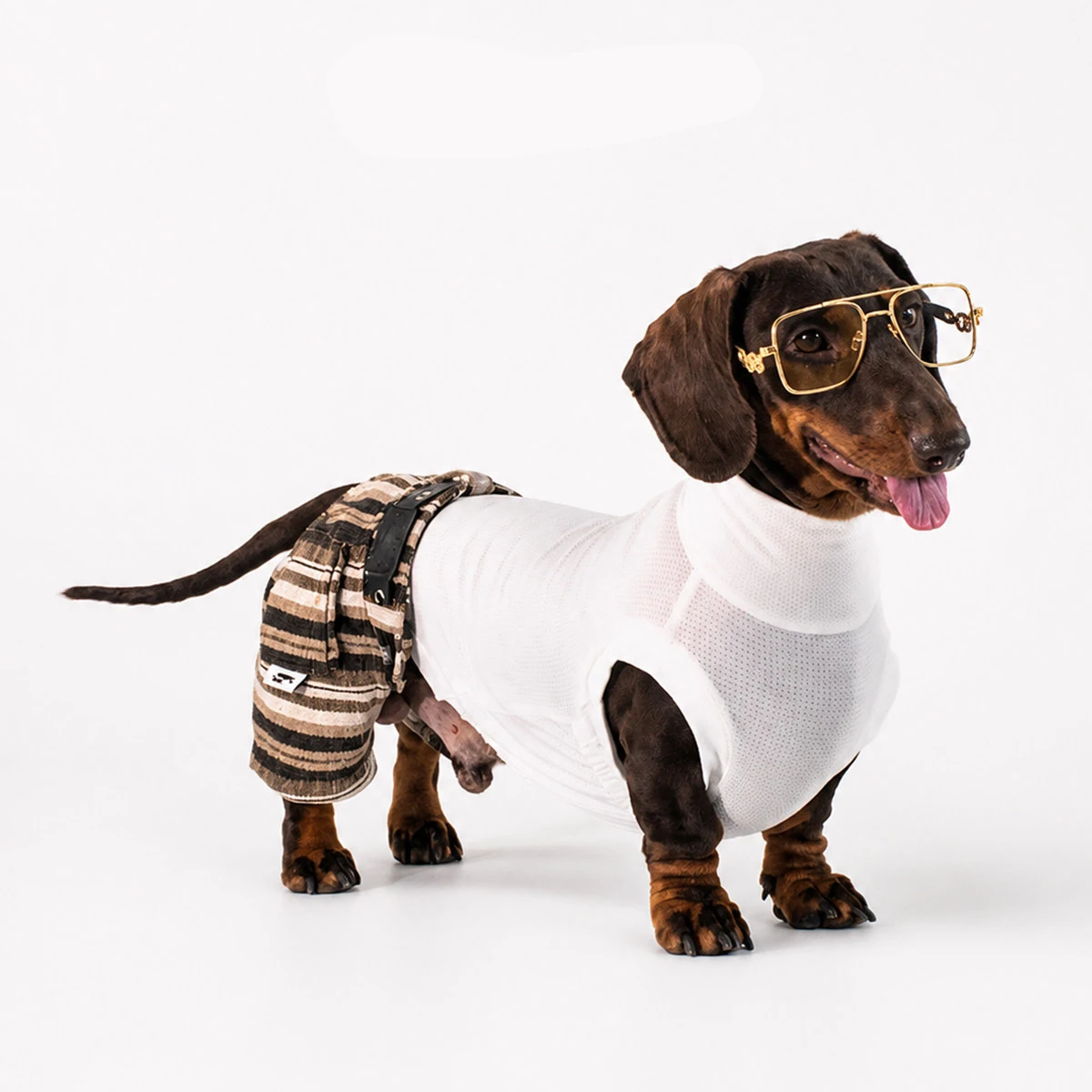 fashion-white-sleeveless-vest-with-pants-set-for-dachshund-dogs-summer-pet-clothes-for-sausage-dogs-small-medium-dogs