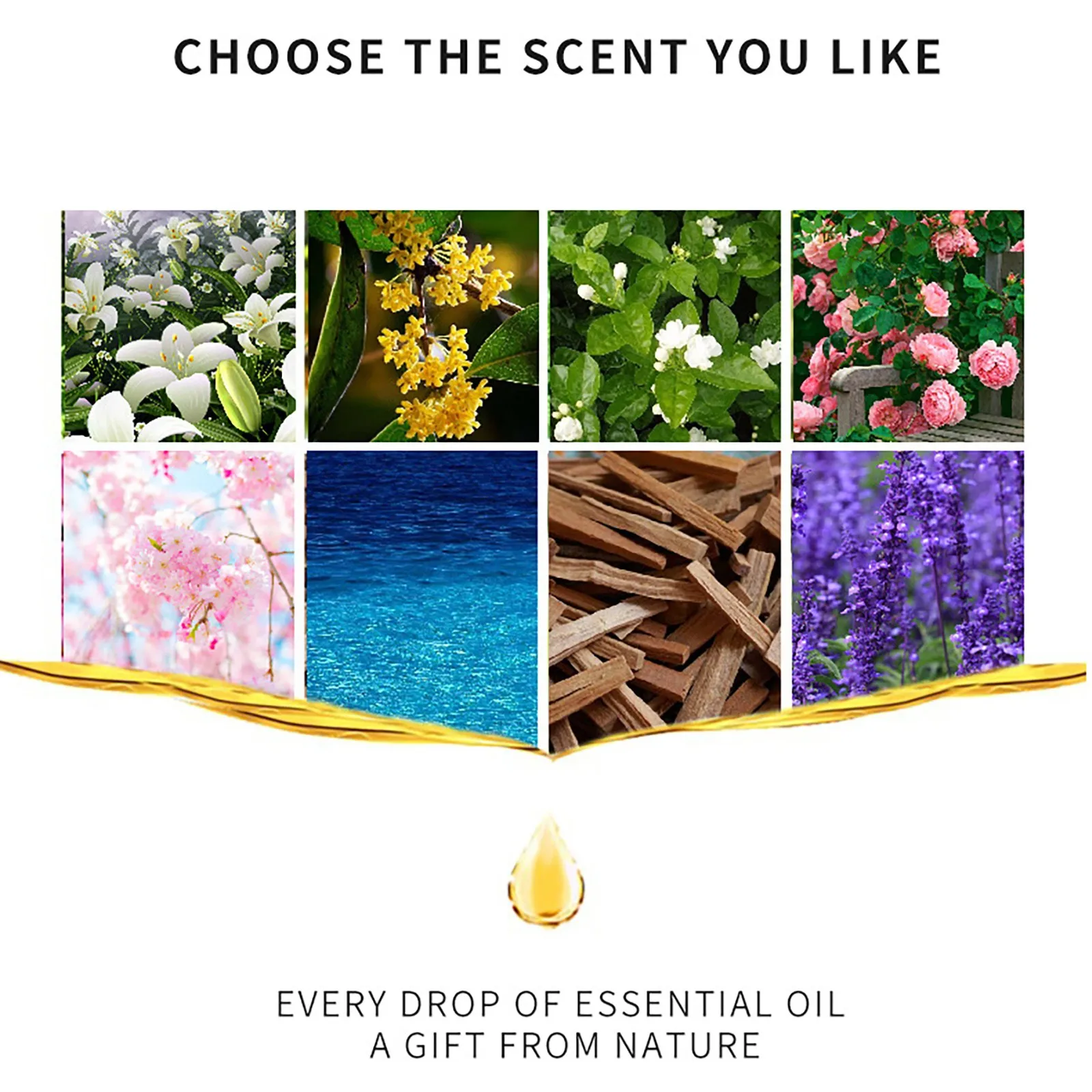 19 Flavors Essential Oils for Aroma Diffuser Air Humidifier Home Water-soluble 10ml Air Freshener Scents Fragrance Oil Perfume