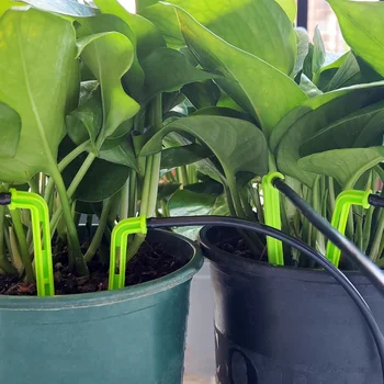 10 best sales बोन्साई को पानी देना - №7