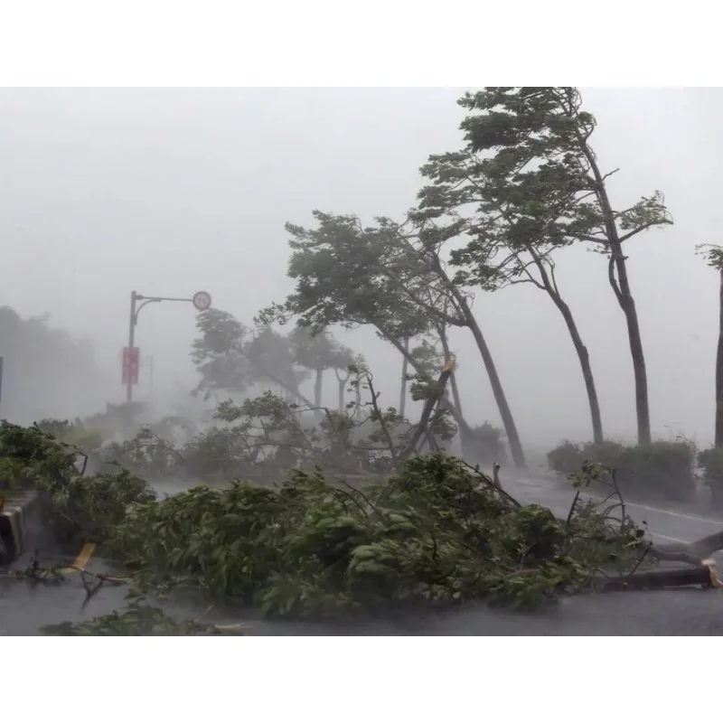 

Передний капот Tiy, газовая стойка, амортизаторная пружина, подъемные опоры, автомобильные аксессуары для Toyota Landcruiser 100 серии Lexus LX470 1998-20