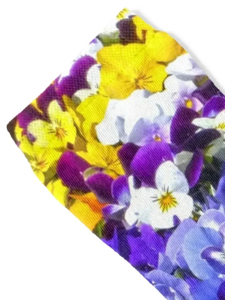 Pansies Pansies Pansies Socks gifts winter thermal Men's Men Socks Women's