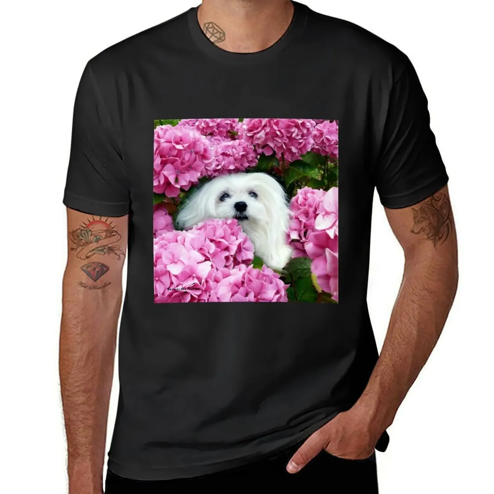 

Snowdrop the Maltese - Cheeky Face ! T-Shirt oversizeds customs design your own man clothes heavyweight t shirts for men