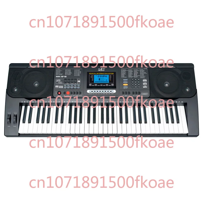 

MK-812 61 Key Professional Performce Type Electronic Keyboard Plug-in USB Flash Disk To Play MP3 Chinese and English Version