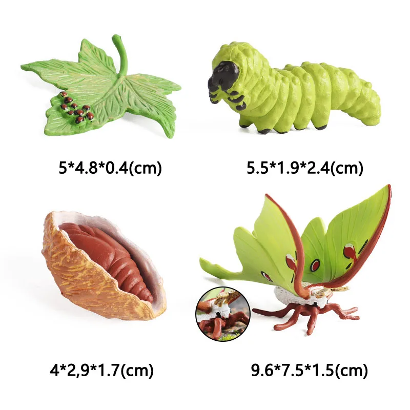 Latest Lifelike Animals Panda Moth Life Cycle Insect Penguin Frog Figurines DIY Action Figures Early Education Toys for Children
