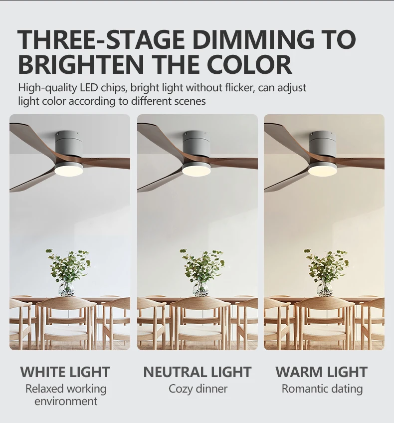 38/52Inch Low Floor Fan Lights Room Restaurant Modern Simplicity DC Remote Control Indoor Ceiling Fan 110V 220V Electric Fans