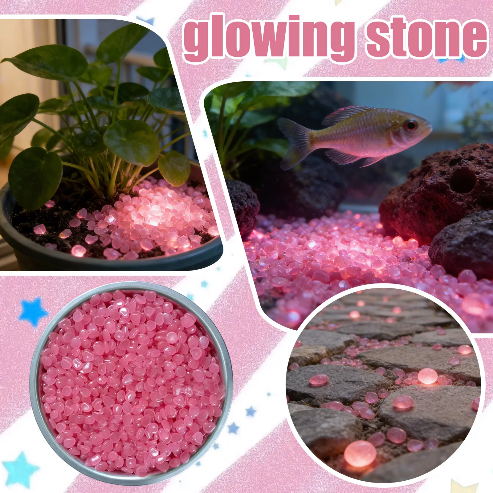 Pierres lumineuses super minia - Aquarium Fish That Glow In The Dark avis et prix
