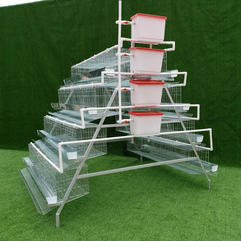 

A Type Galvanized Automatic Chicken Cages Layer Poultry Cage For Farming Equipment