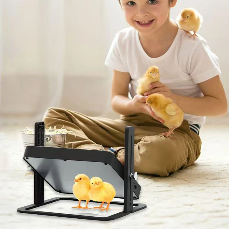 Chick Heater Brooder with Acrylic Plate Electric Chick Brooder Heating Plate Energy-Efficient Adjustable Height & Angle