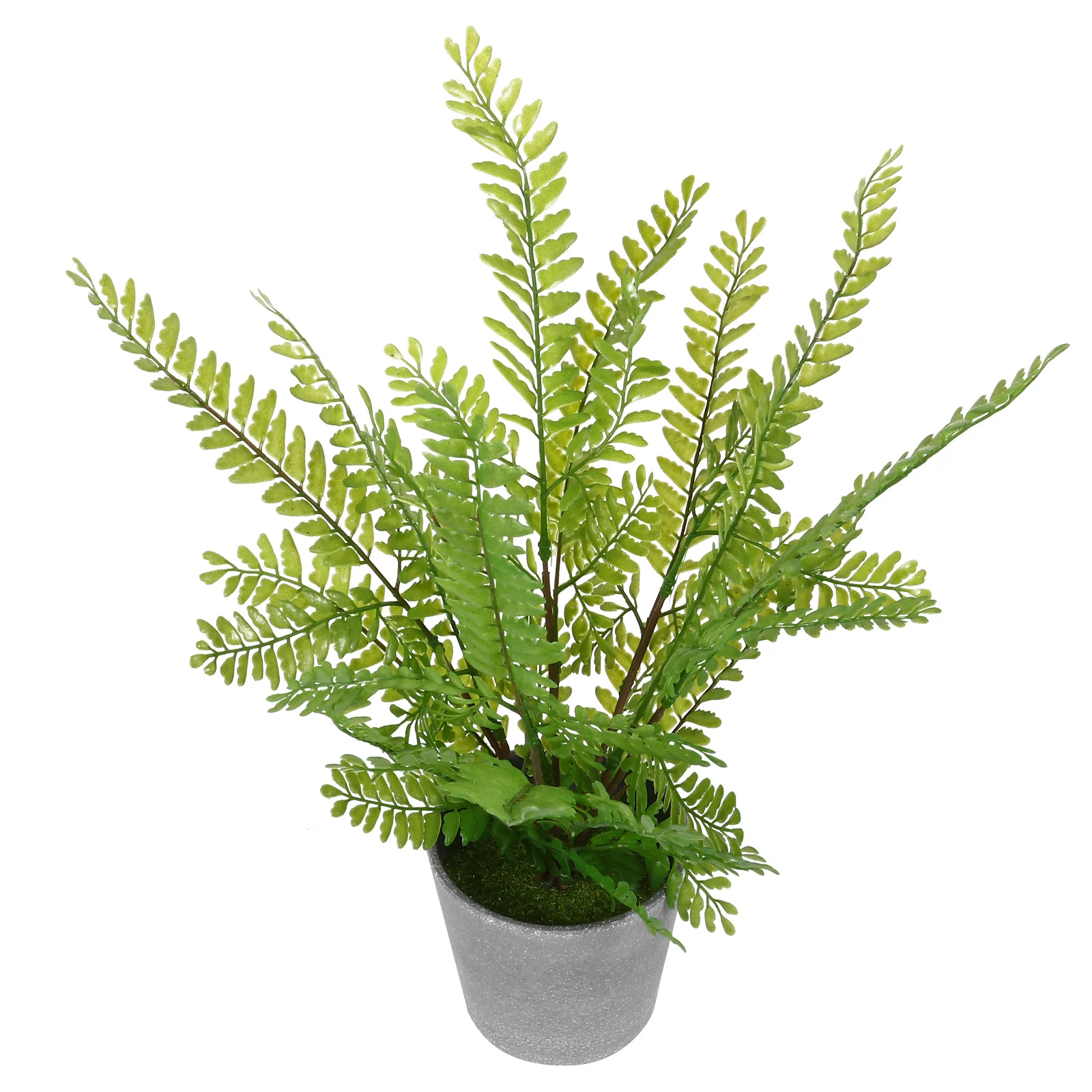 

1Pcs Simulation Fern Plant Natural Texture Plastic Mini Potted Bonsai Green Desktop Garden Office Artificial Plant Decor