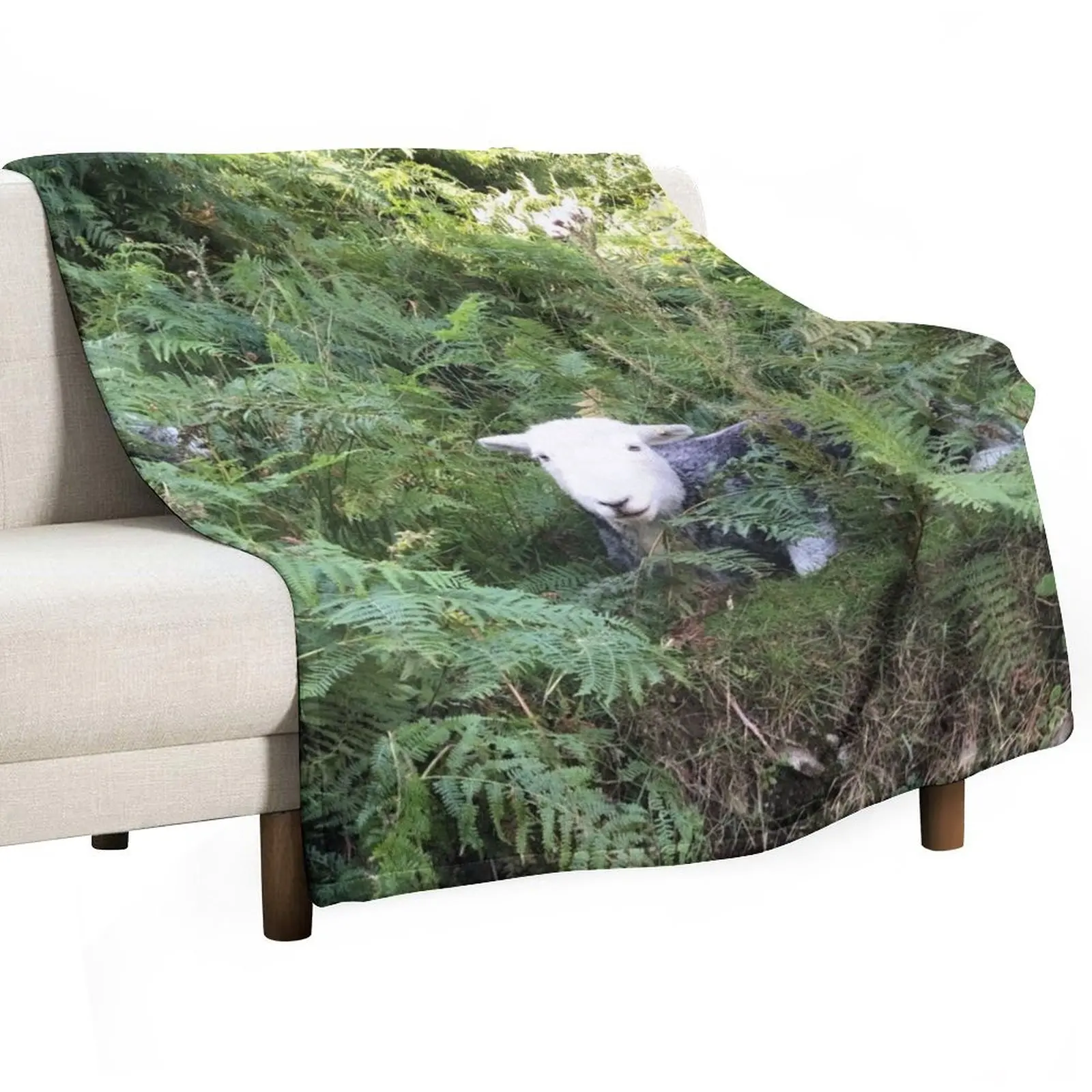 Herdy sheep in the ferns in the lake district Throw Blanket Flannel Bed linens Blankets