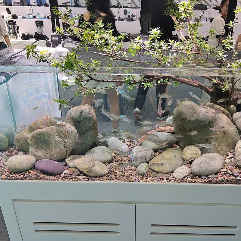 Fish tank aquarium tank bottom filter living room glass Lanshou stream tank bag back overflow ecological sea view 2