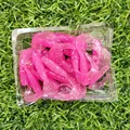 GD10 20PCS 04