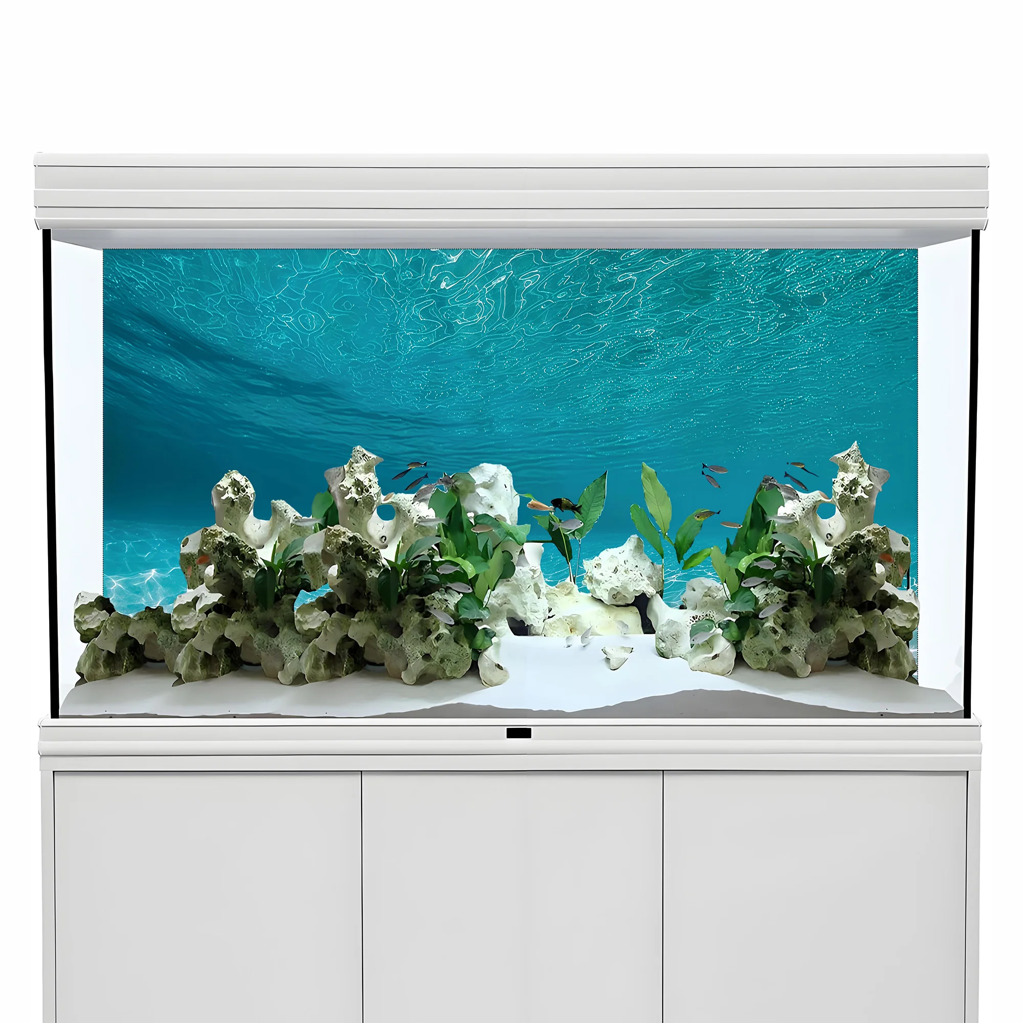 رمل أبيض مشمس، لوحة خلفية لحوض - مراجعة Aquarium Sand White وسعره