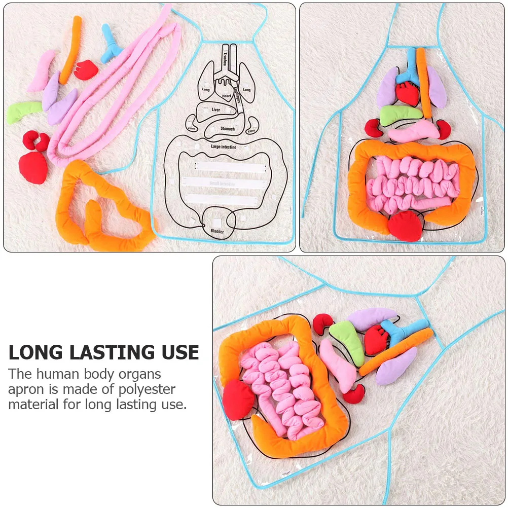 

Human Apron 3d gan Kids Toys Polyester Preschool Teaching Aid Toddler Anatomy Body Educational Learning