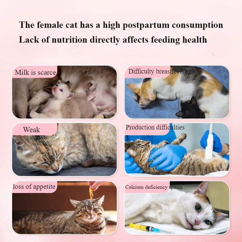 Canned Cats Pregnant Cats Postpartum Confinement Meals Canned Goat Milk Wholesale Pet Food Cat Wet Food Cat Treats Canned Cats