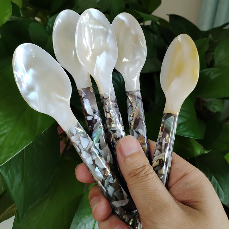 Set of 5 Caviar Spoons Shell Spoon Mother of Pearl Caviar Spoons Round Handle for Caviar Egg Ice Cream Coffee Restaurant Service