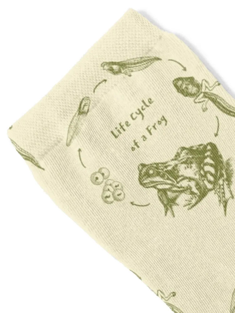 خمر علم الأحياء الضفدع دورة الحياة التحول، العلجوم والتصميم الشرغوف لعشاق العلوم والجوارب عشاق التاريخ الطبيعي