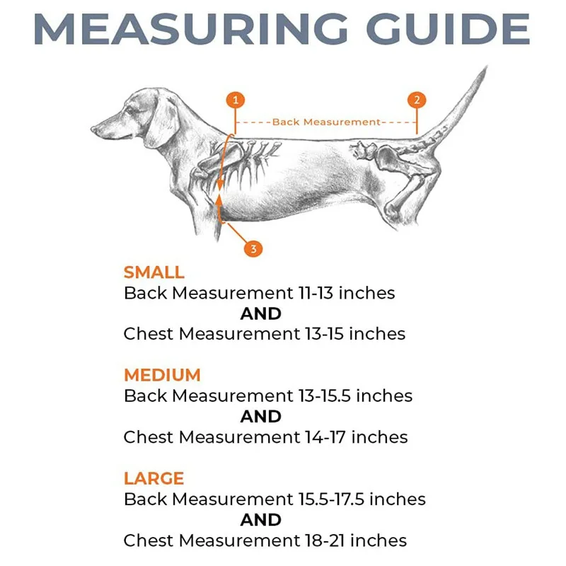 Dog Back Brace Breathable And Comfortable Adjustable Vest Helps Pet for IVDD,Back Pain,Post Surgical Recovery and Rehabilitation