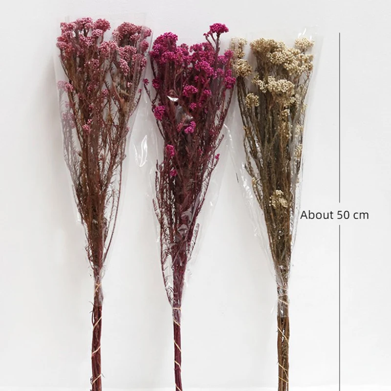 

Natural Dried Flowers Preserved Outdoor Wedding Decorations Presser Christmas Gift Home Decor Nature Autumn Party Dry Flower