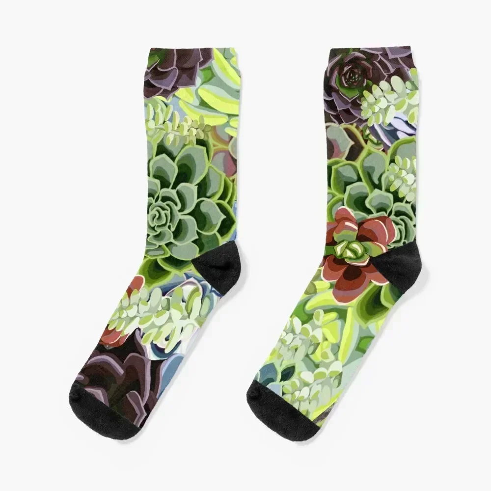 Succulent Garden Socks sports and leisure Crossfit hockey Men's Girl'S Socks Men's