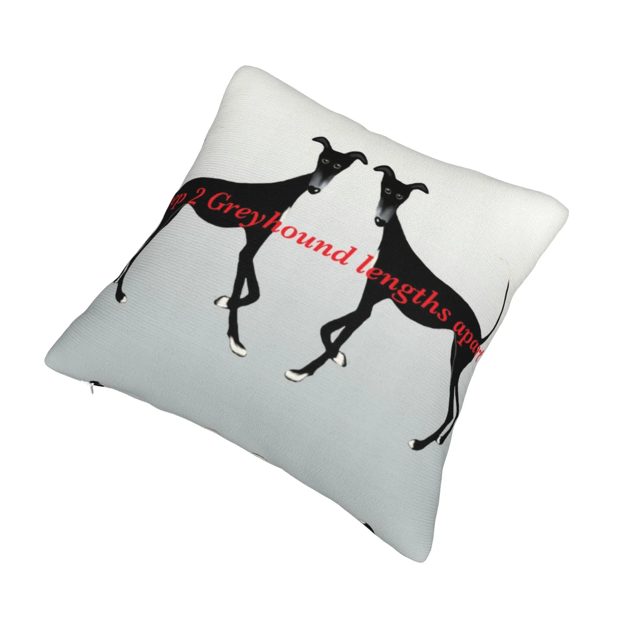 Keep 2 Greyhound Lengths Apart Cushion Covers Sighthound Whippet Dog Velvet Cute Throw Pillow for Car Sofa