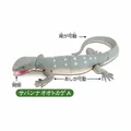 Savannah Monitor A