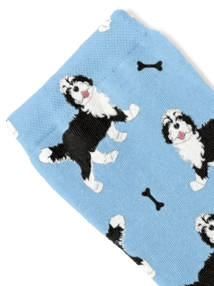 Cute Black and White Bernedoodle - Blue Background Socks essential fashionable sport Socks Women Men's