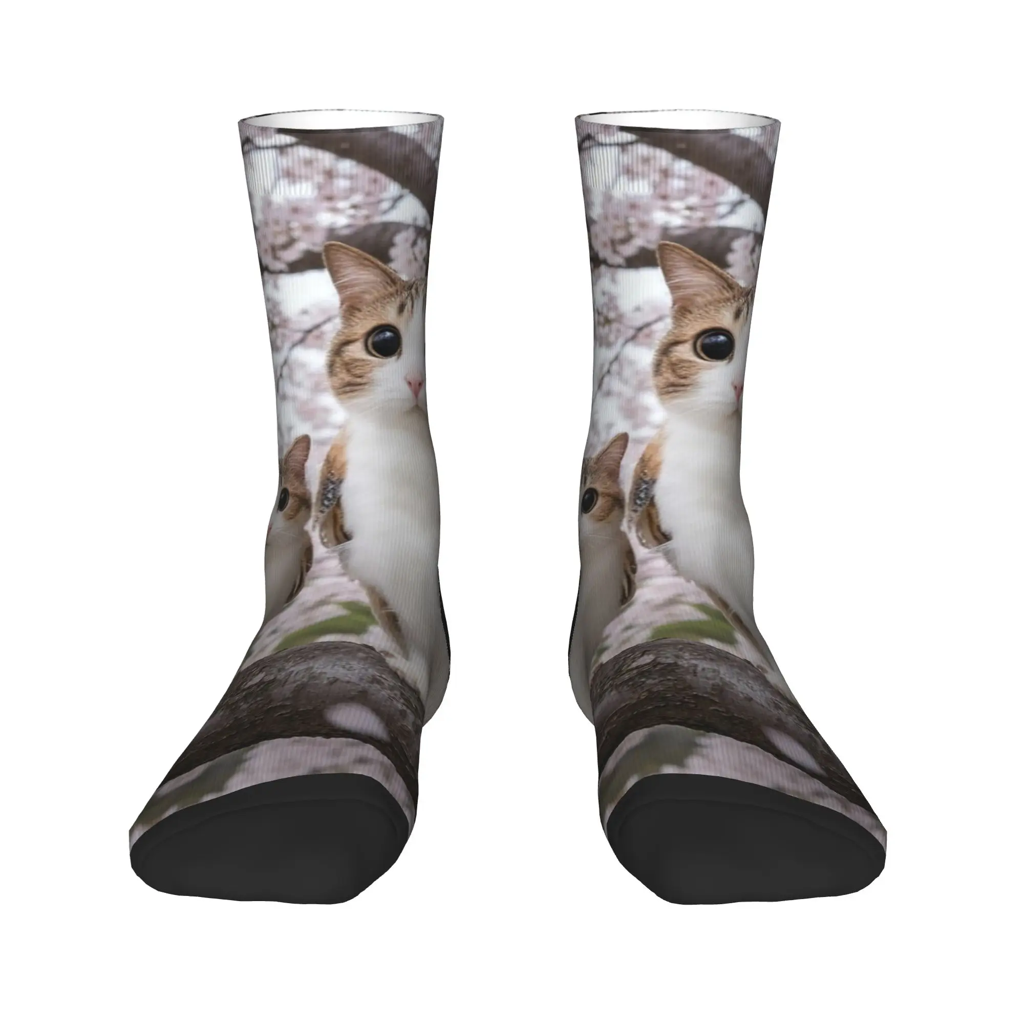 Two Meowls on Cherry Blossom Branch Socks  Vintage Stockings Autumn Anti Skid Couple Socks Breathable Graphic Running Socks