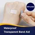transparent