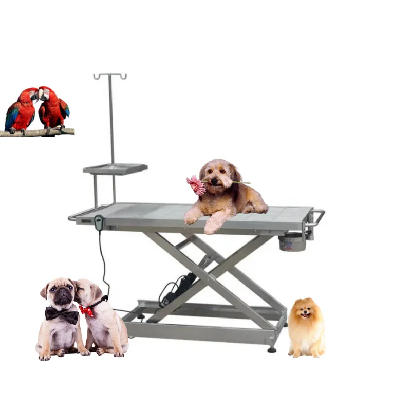 

Durable Veterinary Equipment Clinic Pets Stainless Steel Vet Operating Table Vet Surgical Operating Table Price