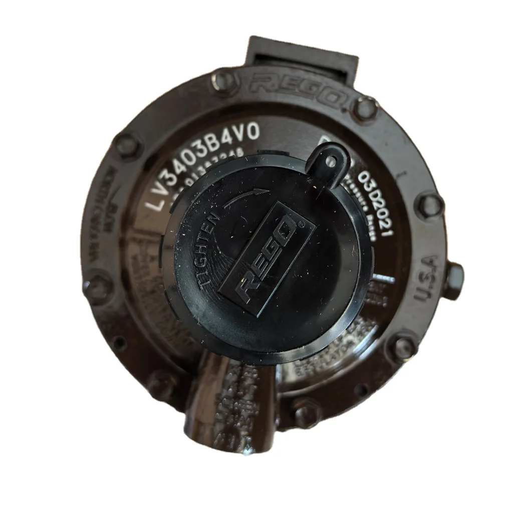 REGO LV3403B4V0 Pneumatic Secondary Gas Regulator Compact Kitchen LPG Pressure Reducing Valve 9.8 kg/h Pipeline Pressure