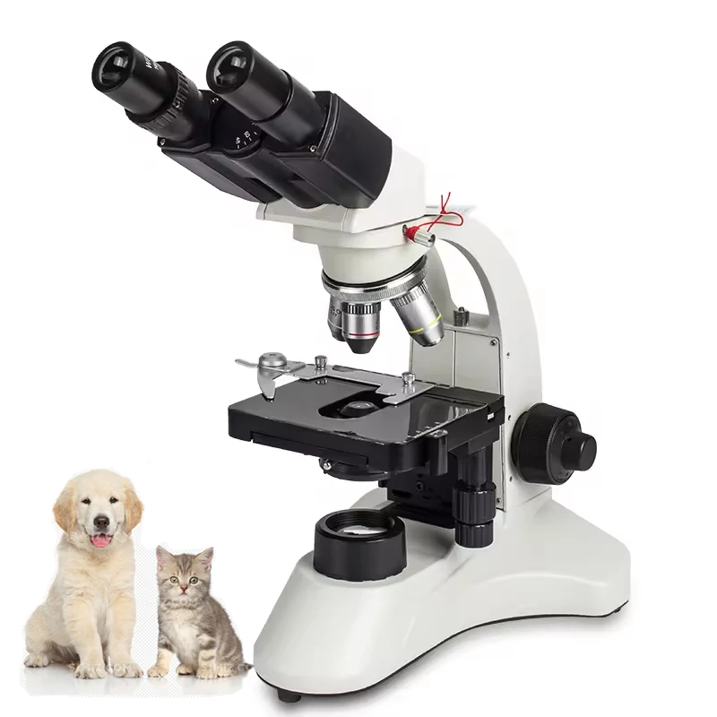 Veterinary Medical Equipment Medical Optical Microscope Binocular Bacteria Electronic Lab 40K-1600K Biological Microscope