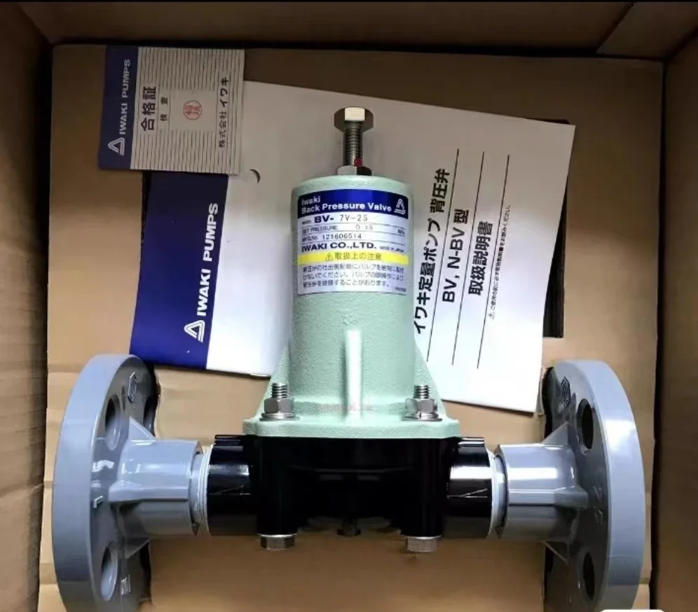 2025 Original Iwaki… - image