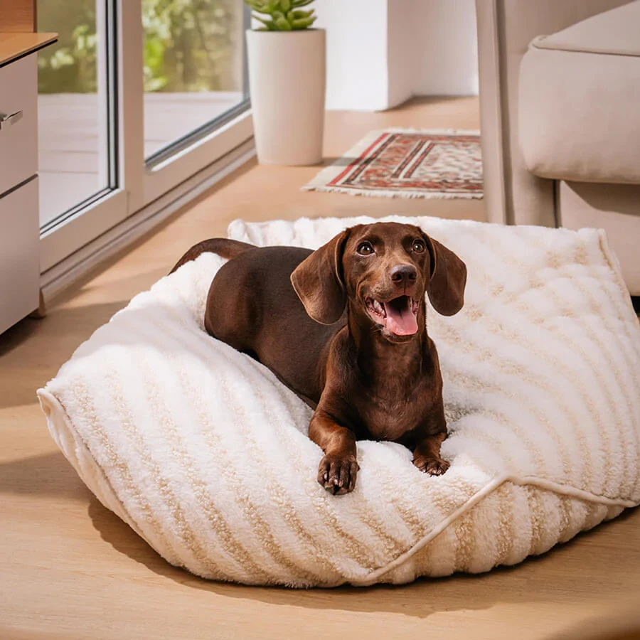 

Paw Shape Trendy Striped Pattern Pet Dog Bed All Seasons Polygonal Calming Bean Bag Dog Bed Cozy and Comfy Pet Cushion for Puppy