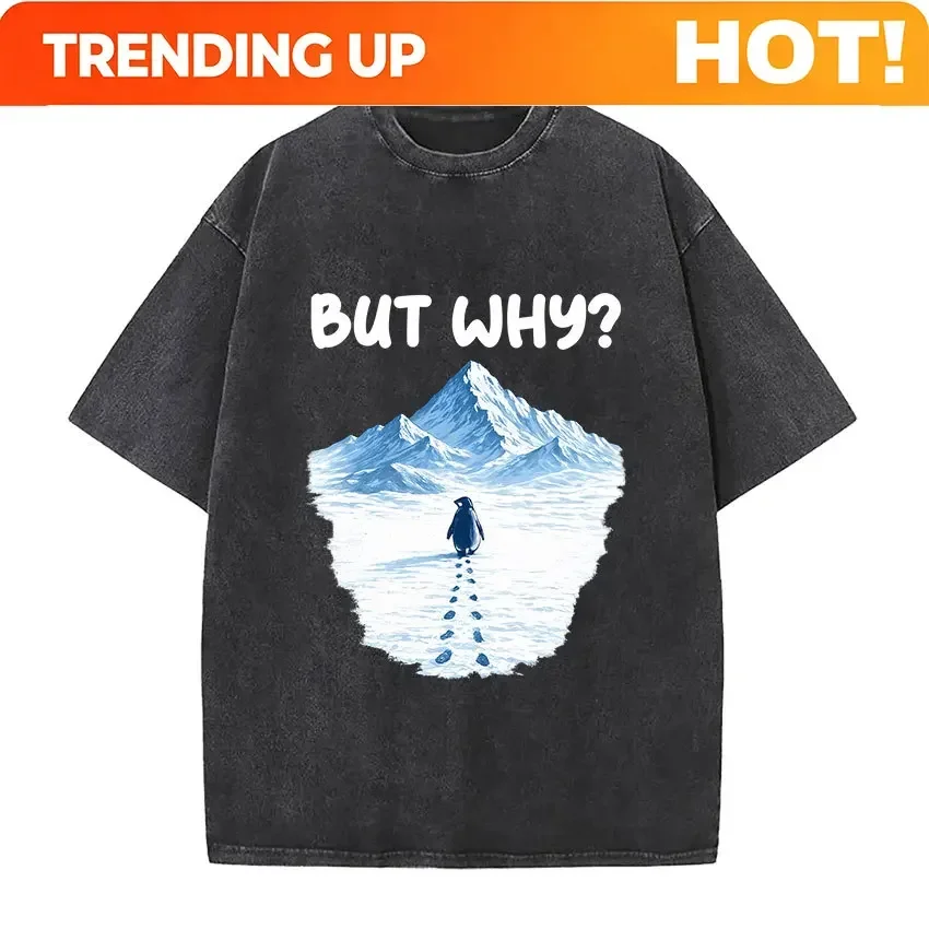 Customization Nihilist Penguin But Why Funny Meme Fans Gift T Shirts Men Women Fashion Vintage Washed Oversized T-shirt Humor Cl